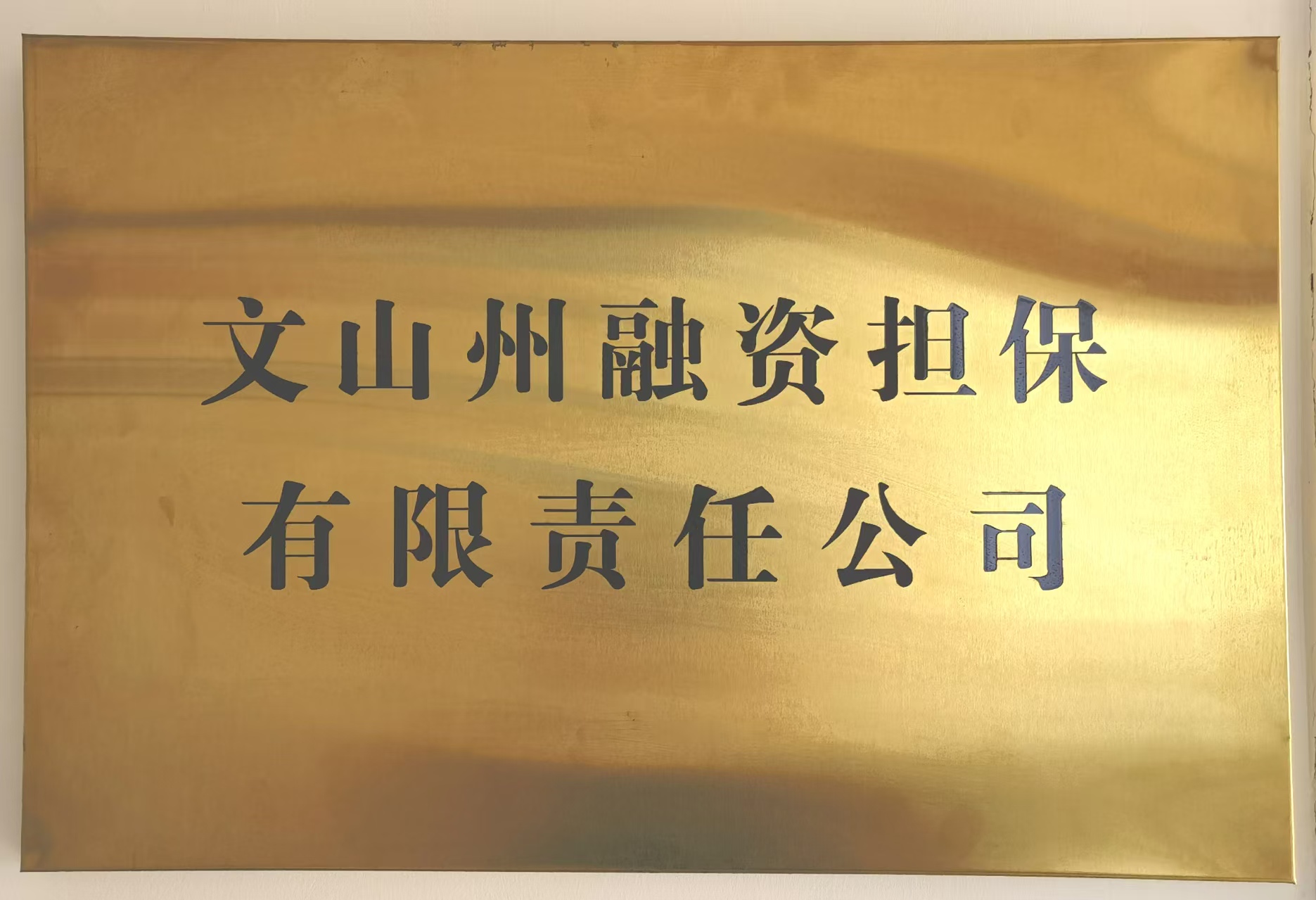 文山州融资担保有限责任公司