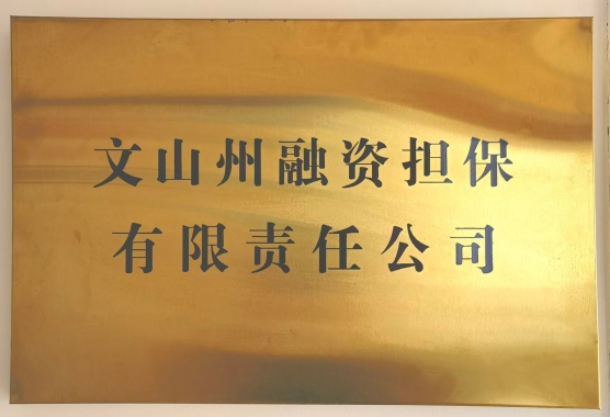 文山州融资担保有限责任公司